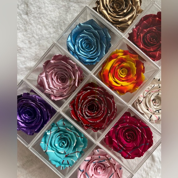 NIB Preserved Rose - Picture 2 of 9